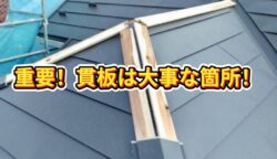 貫板ってなに？放置していると雨漏りが起きてしまうかも！！！！