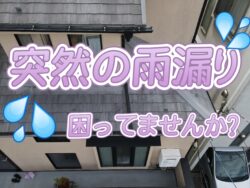 突然の雨漏り！練馬区で雨漏り修理を失敗しないために大切なポイントとは？