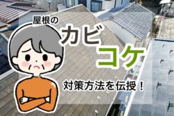 屋根のコケ・カビ対策！練馬区・板橋区で美観と耐久性を守るメンテナンス方法