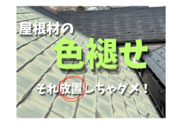 屋根の色褪せは屋根の劣化のサイン？「ただの日焼けでしょ」と放置すると後悔するかもしれません